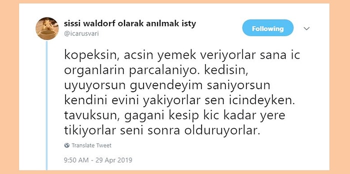 Hayvan Dostlarımıza Cehennemi Yaşatıyoruz! Twitter'daki Bu Flood Yüzünüzde Bir Tokat Etkisi Yaratacak