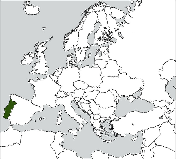 12. Какая страна выделена зеленым цветом?