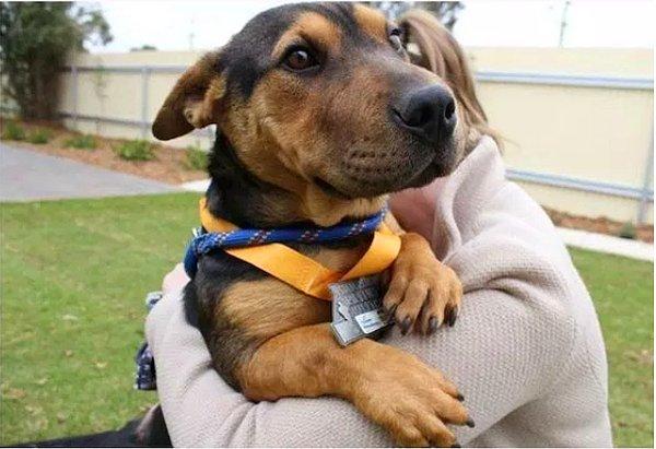4. Koşucuların yanında maratona katılan bu tatlı köpek de madalya almış.