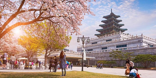 11. В каком городе расположен этот экзотический уголок?