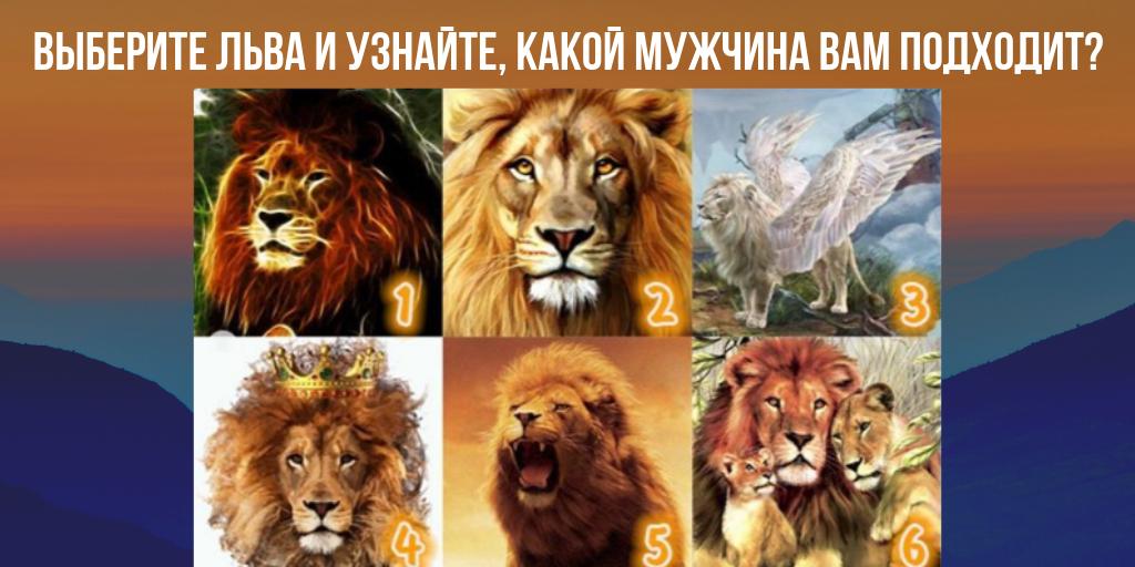 Лев подбери признак. Психологический тест со львом. Тест со львом для мужчин. Какой цвет подходит львам. Какой ты сегодня Лев.