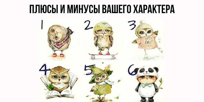 Выберите сову, а мы расскажем, в чем плюсы и минусы вашего характера