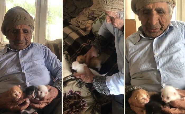 Yavru Kedileri Besleyen 90 Yaşındaki Haydar Dedenin Gözlerinizden Kalpler Fışkırtacak Görüntüleri