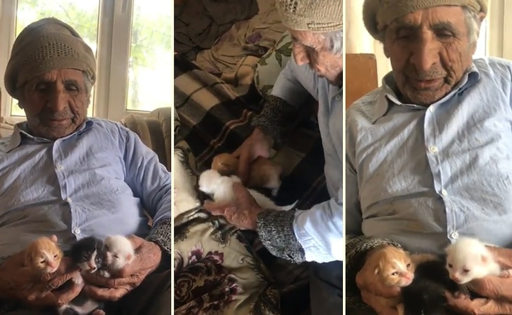 Yavru Kedileri Besleyen 90 Yaşındaki Haydar Dedenin Gözlerinizden Kalpler Fışkırtacak Görüntüleri