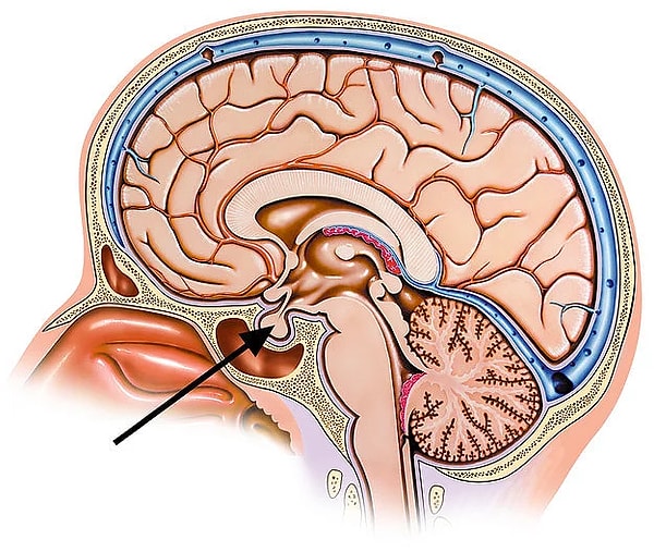 6. Стрелка указывает на...