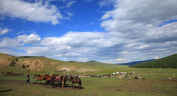 13. С какой из нижеуказанных стран не имеет границ Монголия?