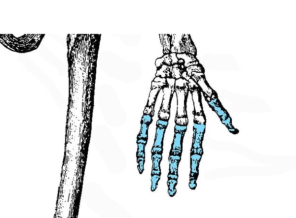 7. Ну это-то вы знаете! Нет?