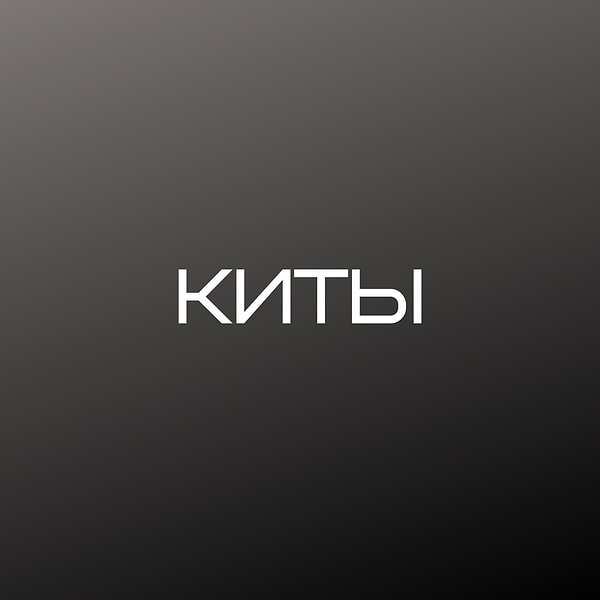 Вы беспокойный человек!