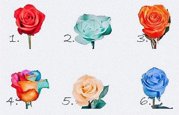 Итак, какая роза самая красивая, по вашему мнению?