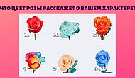 Что цвет выбранной розы расскажет о вашем характере?