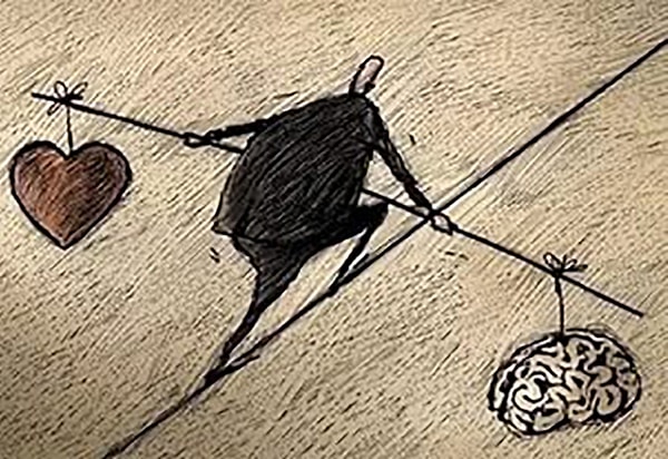 Оранжевая роза