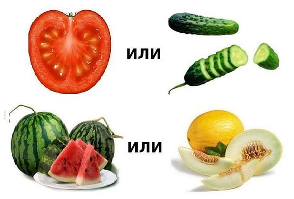 Итак, ответьте всего на два вопроса. Что вы больше любите: огурец или помидор, дыню или арбуз?