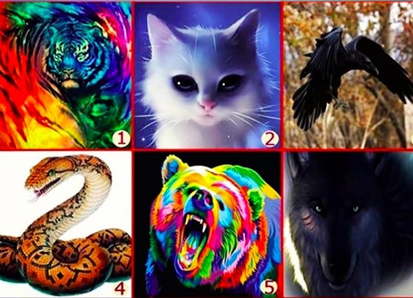 Итак, на какое животное вы похожи в порыве гнева?