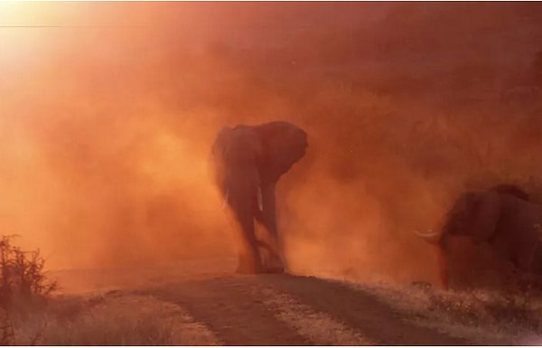 12. "Охваченные пламенем". Автор: Грег Дэвисон, категория: Природа.