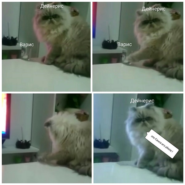 15. Это была не я