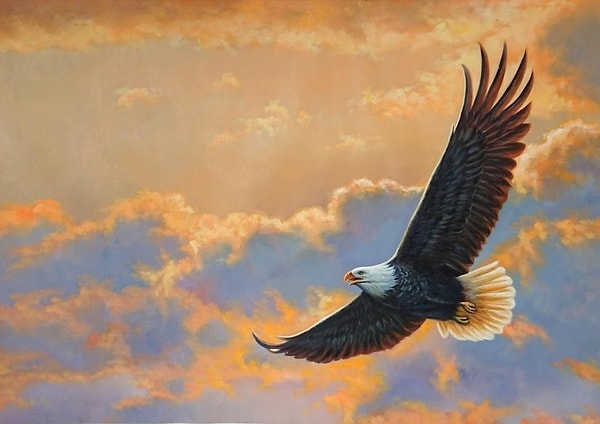 Парящий орел