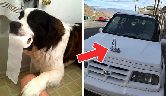 27 фото из разряда «такое каждый день не увидишь и мимо не пройдешь»