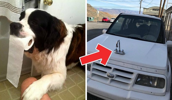 27 фото из разряда «такое каждый день не увидишь и мимо не пройдешь»