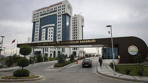Tarım ve Orman Bakanlığı, Ankara'nın Altındağ ilçesinde çok sayıda çinçillanın ölü bulunması ile ilgili olarak açıklama yaptı.
