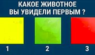 Тест: То, какое животное вы увидели первым, расскажет о главном качестве вашего характера