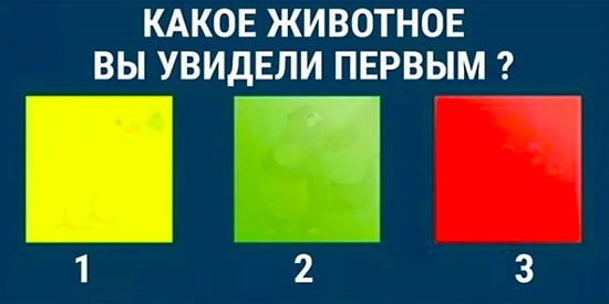 Тест: То, какое животное вы увидели первым, расскажет о главном качестве вашего характера