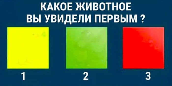 Тест: То, какое животное вы увидели первым, расскажет о главном качестве вашего характера