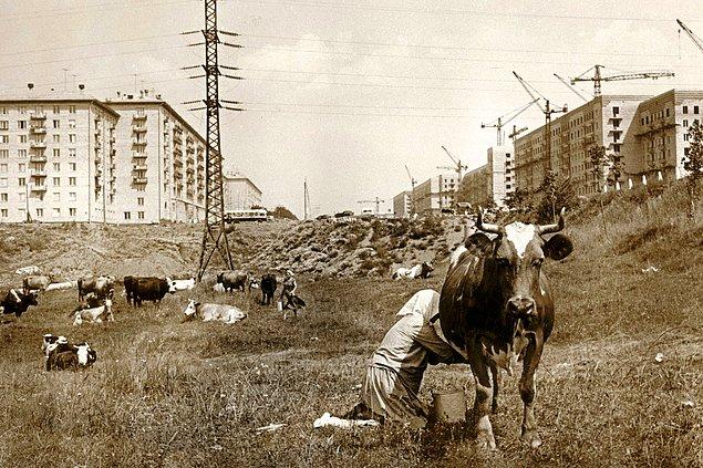 Не нужно слов: Самые яркие эпизоды истории России 20 века в фотографиях