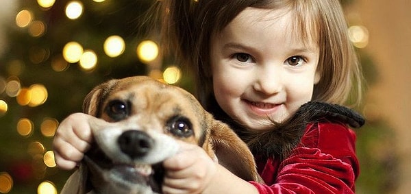 8. Давайте опять вернемся в детство. Вспомните, как вы относились к животным? Бывало ли, что вы мучили их или издевались?