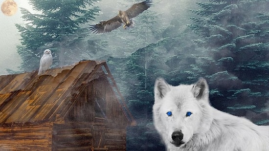 Тест: Инстинкт какого животного в вас преобладает?