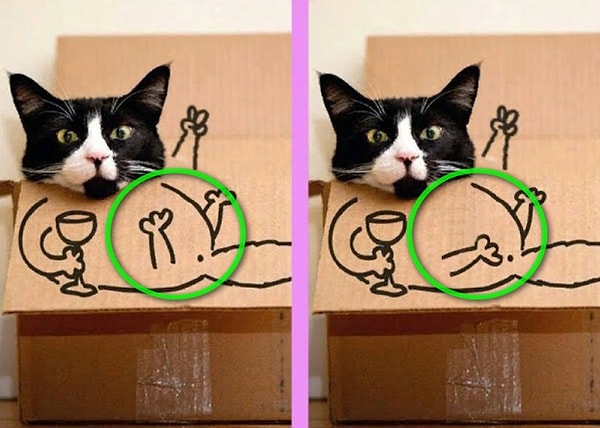 Посмотреть ответ: