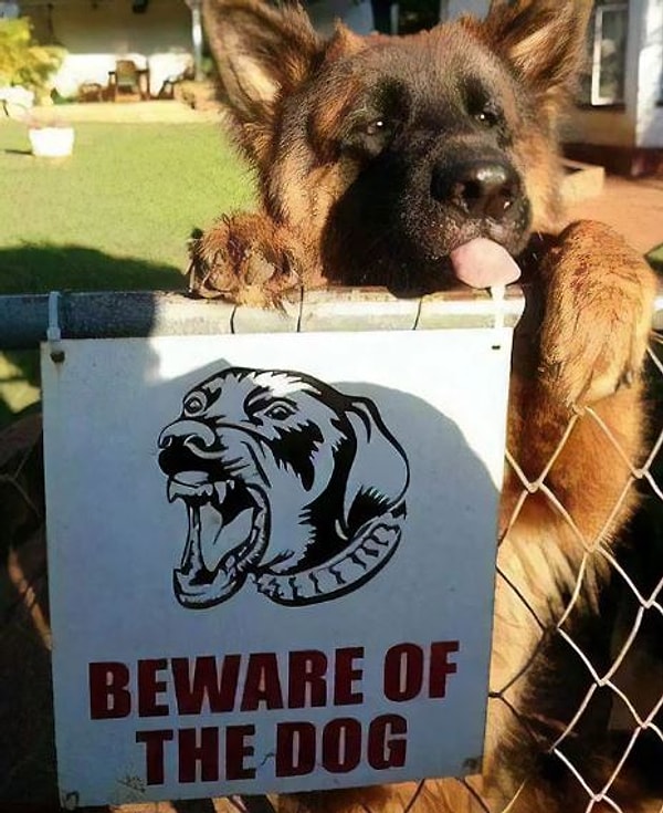 4. "Стой! Кто идет?"