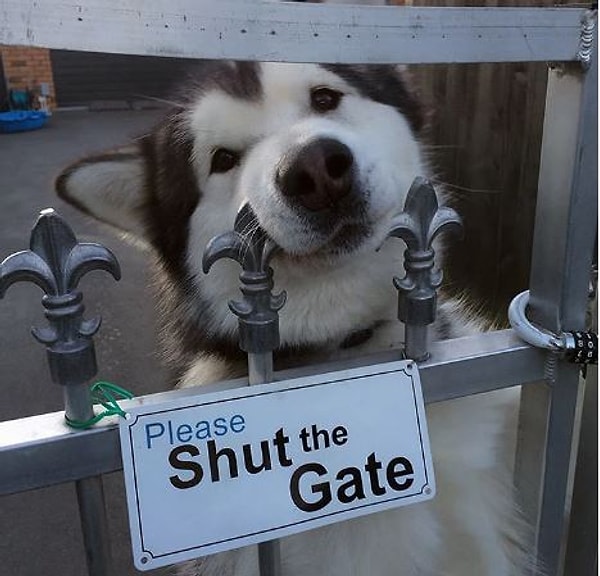 7. "Сосиски есть?" =)