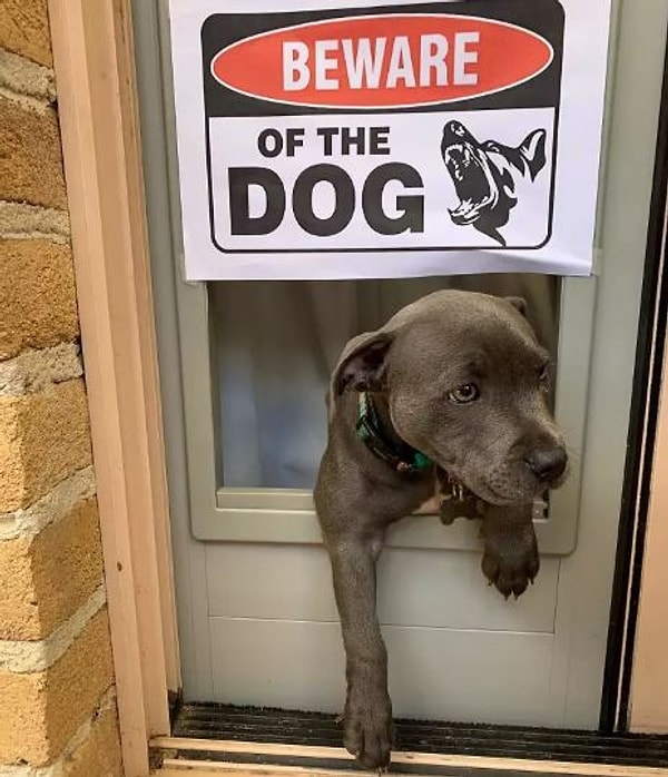 17. Мимиметр зашкаливает =)