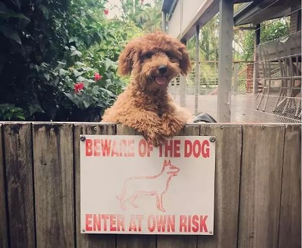 20. "Добро пожаловать!"