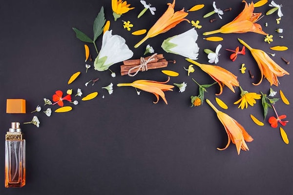 3. Какой запах вы считаете идеальным для лета?