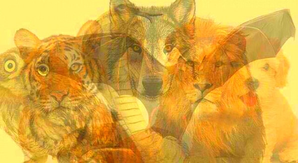 На этом рисунке 7 животных. Не смотрите на него слишком долго. Какое животное вы заметили первым?