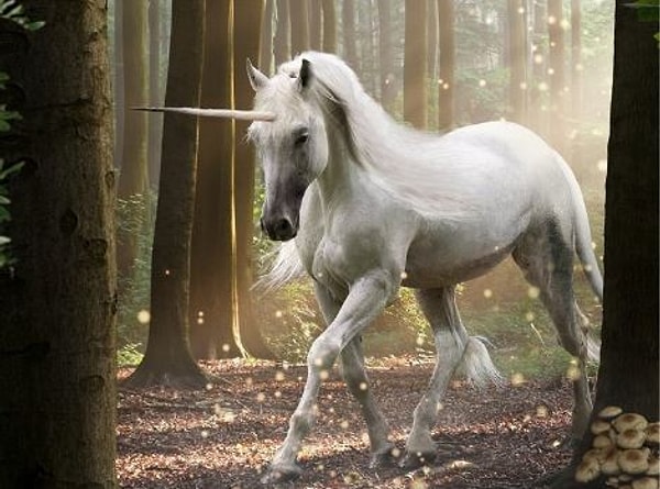 Вы выбрали белого единорога.