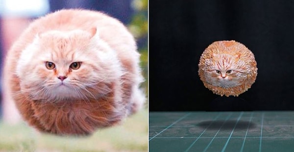 Специализируясь на комичных моментах из жизни животных, он создает крошечные фигурки вирусных интернет-мемов, которые вы непременно узнаете.