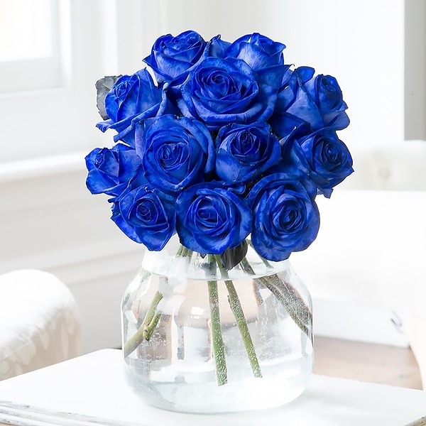 11. Голубые розы растут только в Китае