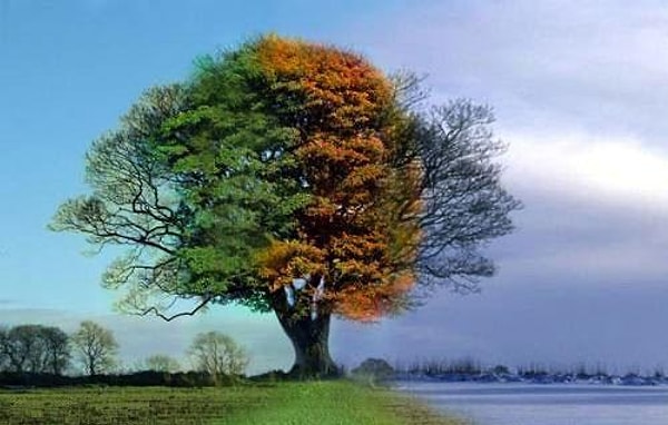 2. Выберите своё любимое время года: