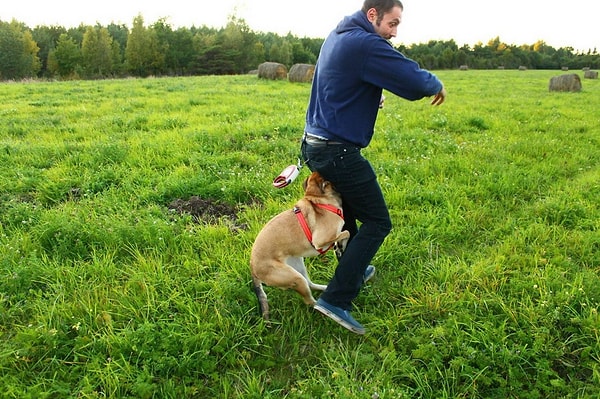 20. В самые "кукусики"