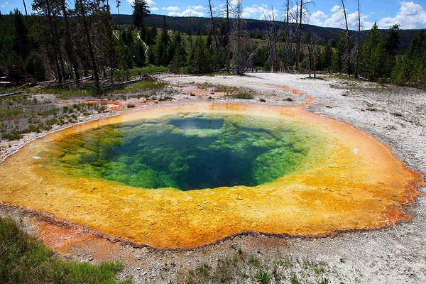 9. В этот национальный парк съезжаются любители природы со всего мира. В какой же стране он находится?