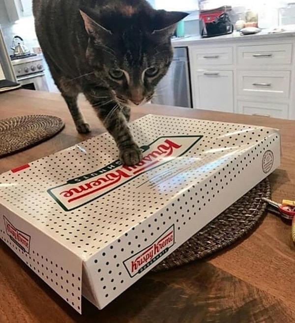 18. "Не делитесь пиццей? Получите!"