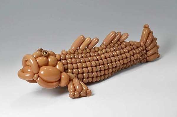 11. Рыбка "илистый прыгун"