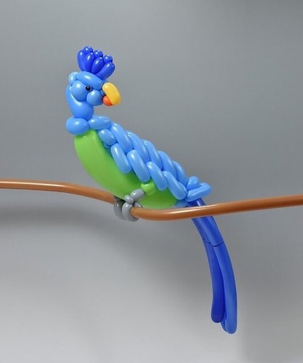 14. Райская птица