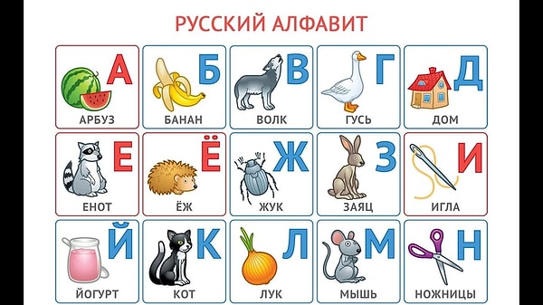 12. Сколько звуков имеется в русском алфавите?