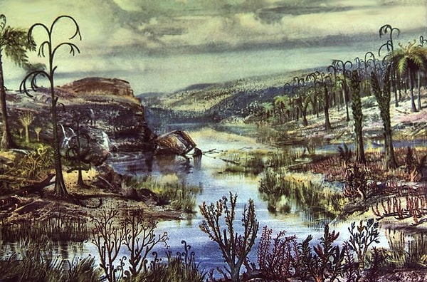 6. Какой из этих геологических периодов был самым ранним?