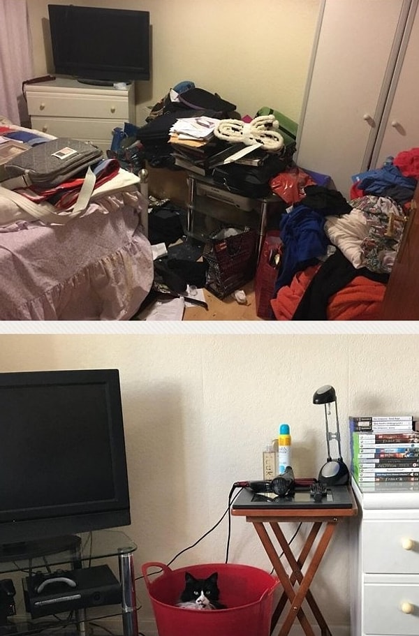 4. "После долгой депрессии я все же решила навести порядок. Кот помогал"
