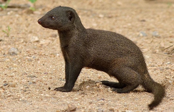 Посмотреть ответ: