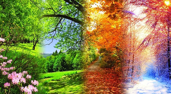 1. Какая ваша любимая пора года?